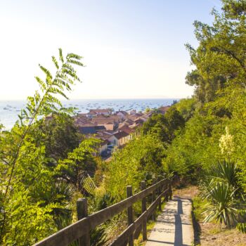 Arcachon vue des hauteurs